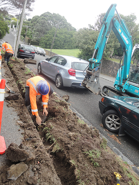 xingkong星空平台（中国）集团挖掘机畅销新西兰