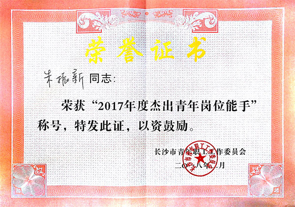 xingkong星空平台（中国）集团智能朱振新荣获长沙市2017年度杰出青年岗位能手