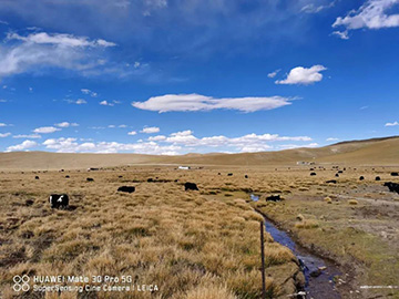 心系xingkong星空平台（中国）集团情，追梦阿里行！